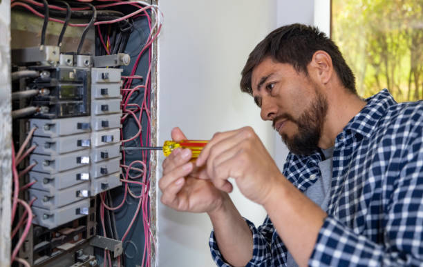 Best Electric Panel Repair  in Osceola, MO